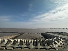 -南汇新城海滩