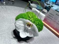 -南堂馆·新川菜(春熙路店)