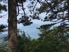 -内乡宝天曼生态旅游区
