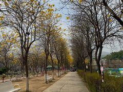 -盈香心动乐园