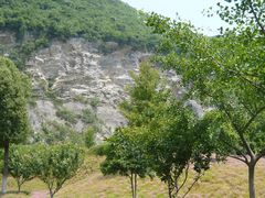 -金钉子远古世界景区