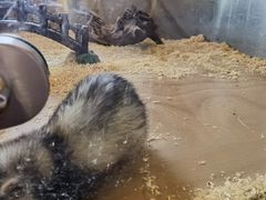 -珠海海泉湾神秘岛亲子乐园