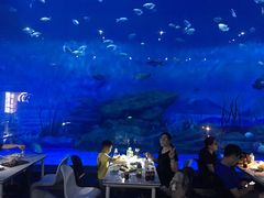 -烟台海昌鲸鲨海洋公园