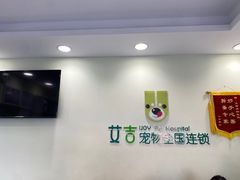 -艾吉宠物医院·疑难杂症转诊中心·猫友好(碧江路院)