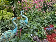 -东莞植物园