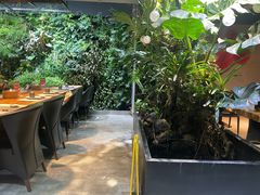 -森味薪火烧•烧鸟居酒屋•日本料理(望京店)