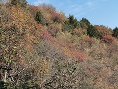 -香山公园