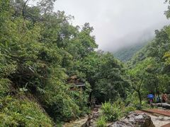 -南海湾森林生态园