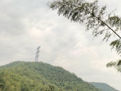 -宁波浙东大竹海景区