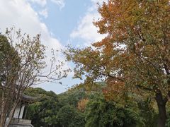-灵岩山风景区