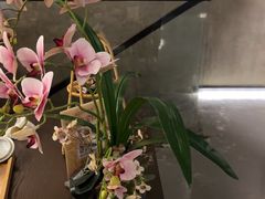 -施奈儿.洗头頭療.按摩SPA.采耳(上梅林店)