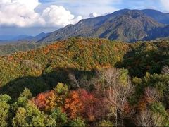 -青峰峡国家森林公园