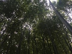 -竹泉村旅游度假区