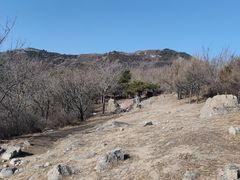 -北京鹫峰国家森林公园