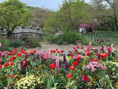 -苏州上方山国家森林公园