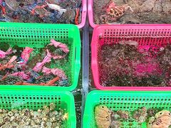 -众味海鲜大排档·活海鲜·潮汕味(南澳店)