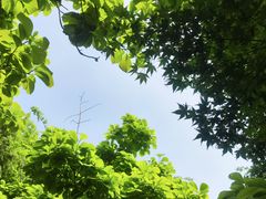 -中山公园