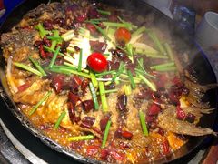 -老板恋上鱼(恒隆广场店)