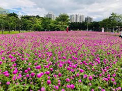 -二沙岛艺术公园