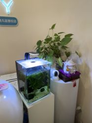 -S&G Beauty轻奢皮肤管理中心