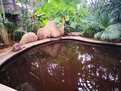 -郑州银基黄帝宫御温泉