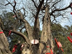 -尧庙景区