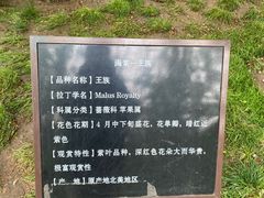 -海棠花溪(元大都城垣遗址公园)