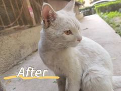 -萌兽医馆·犬猫专科·眼科中心·宠物医院(朝阳门分院)
