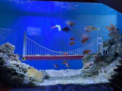 -太平洋海底世界