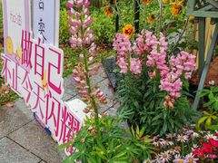 -云溪植物园