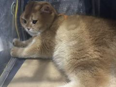-联合动物医院(光谷诊疗中心)