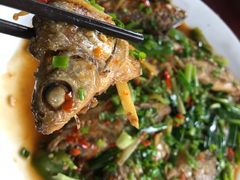 河边鱼-生态苑农庄(十里画廊遇龙河店)