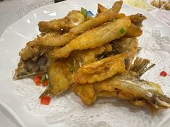 -寻味顺德·南记酒家·传统顺德菜·鱼生(广源路店)