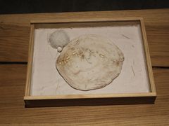 -元白和创园展厅