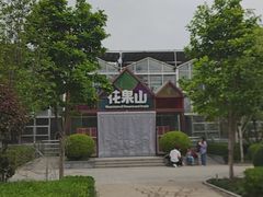 -南宫五洲植物乐园
