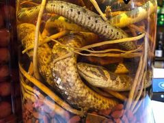 -下梅人家土菜馆(历史文化餐厅度假区店)