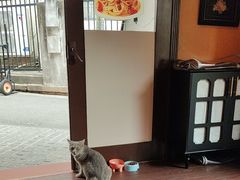 -猫岛主趣味餐厅(鼓浪屿店)