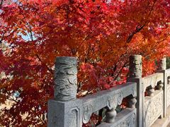 -南山风景名胜区