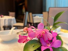 -东海朗廷酒店-唐阁T’ANG COURT 中餐厅