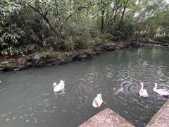 -兰亭风景区