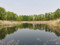 -东郊湿地公园