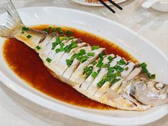 -金美华轩(东方路齐鲁店)