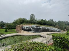 -三水森林公园
