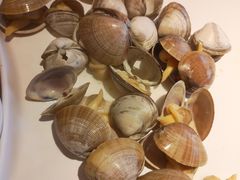 -海味当家·蒸锅海鲜(星海公园店)
