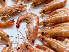 -粤盛海鲜平价店(洛溪食街店)