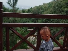 -涂山风景区