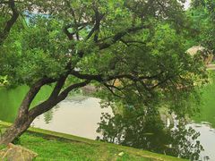 -广州市白云山风景名胜区
