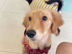 -怪兽屋·羊驼·猫咖·狗咖(俊华广场店)