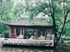 -南京古林公园