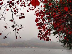 -秦岭终南山世界地质公园翠华山景区